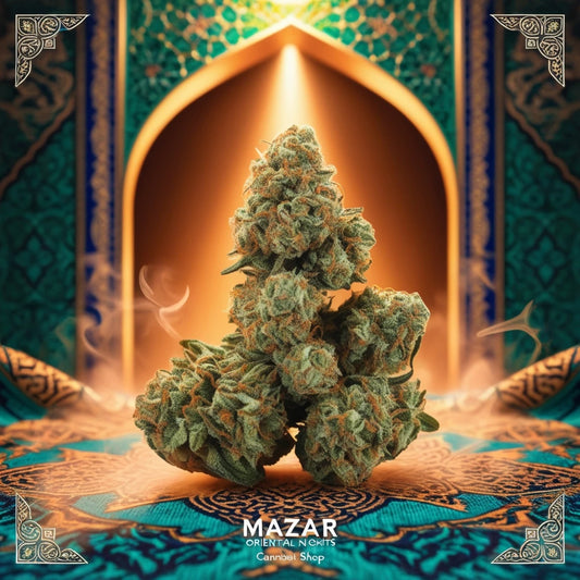 Mazar – Entdecke die Magie orientalischer Nächte