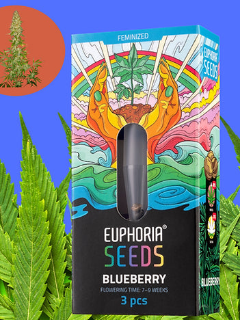 Euphoria Blueberry: Mehr Frucht, mehr Chill, mehr Entspannung!