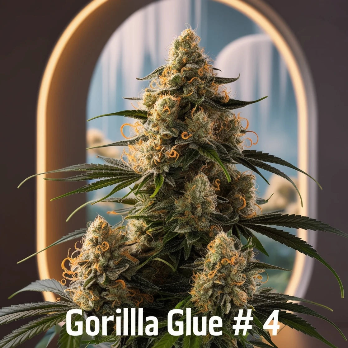 Gorilla Glue #4 – Die kraftvolle Verbindung