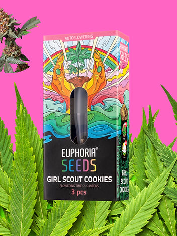 Euphoria Girl Scout Cookies: Der Kekstraum, der ganz allein blüht!