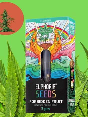 Euphoria Forbidden Fruit: Die verbotene Frucht, die du unbedingt probieren musst