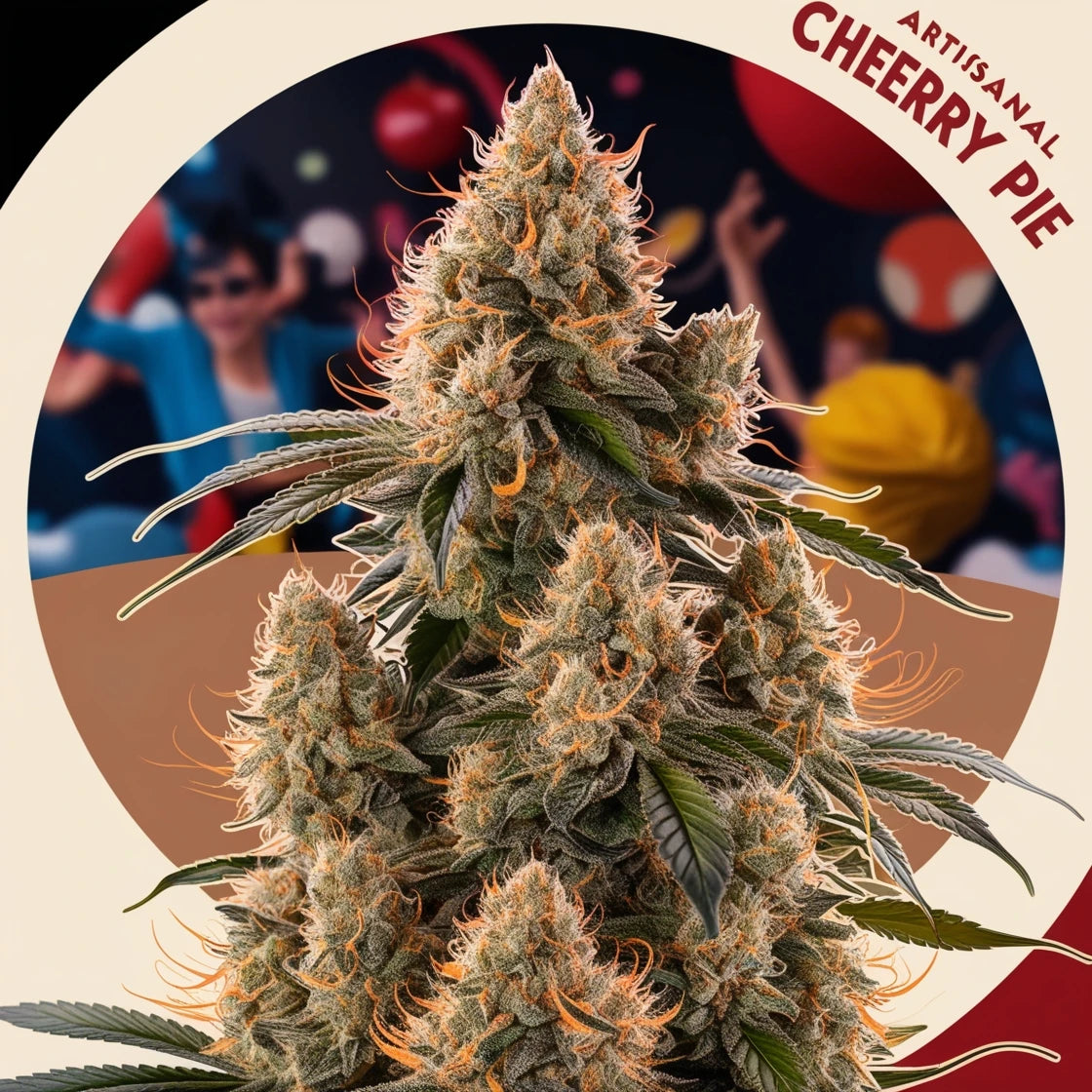 Cherry Pie Autoflower: Schmeckt wie Omas Kirschkuchen, kickt wie ein Einhorn